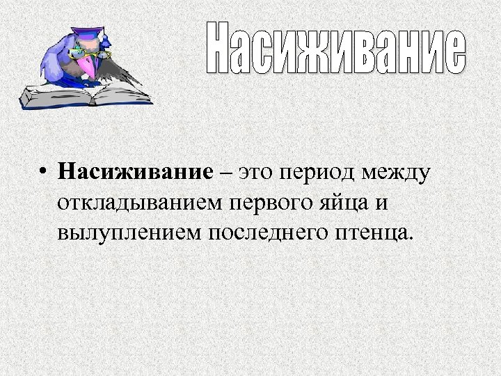  • Насиживание – это период между откладыванием первого яйца и вылуплением последнего птенца.