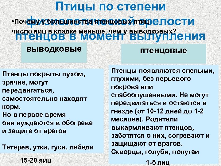 Используя рисунок 164 найдите черты отличия выводковых и гнездовых птиц 7 класс кратко