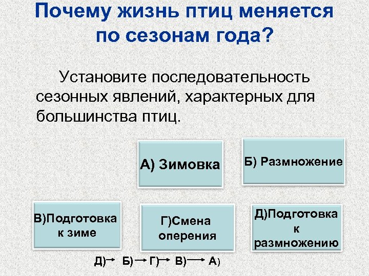 Почему жизнь птиц меняется по сезонам года? Установите последовательность сезонных явлений, характерных для большинства