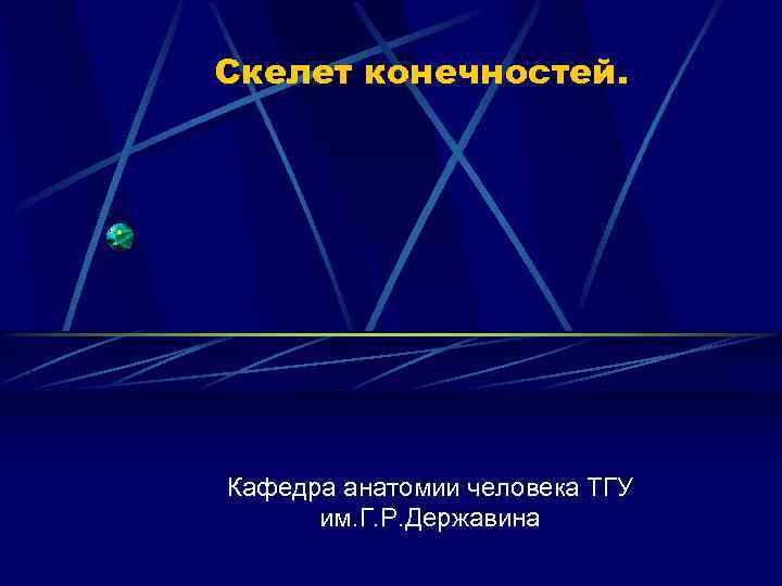 Скелет конечностей. Кафедра анатомии человека ТГУ им. Г. Р. Державина 