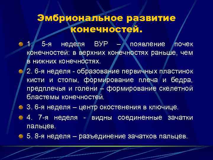 Эмбриональное развитие конечностей. 1. 5 -я неделя ВУР – появление почек конечностей: в верхних
