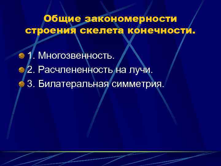 Общие закономерности строения скелета конечности. 1. Многозвенность. 2. Расчлененность на лучи. 3. Билатеральная симметрия.