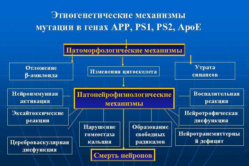 Этиогенетические механизмы мутации в генах АPP, PS 1, PS 2, Apo. E Патоморфологические механизмы