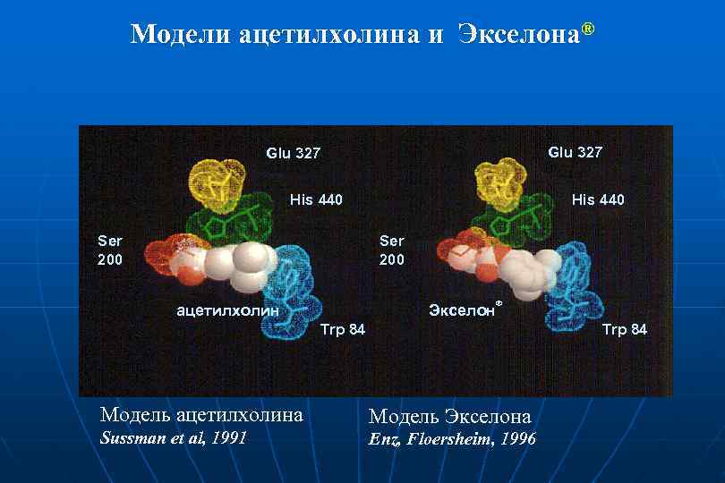 Модели ацетилхолина и Экселона® Glu 327 His 440 Ser 200 Экселон ацетилхолин ® Trp