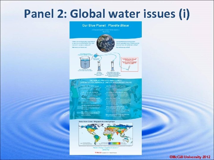 Panel 2: Global water issues (i) ©Mc. Gill University 2012 