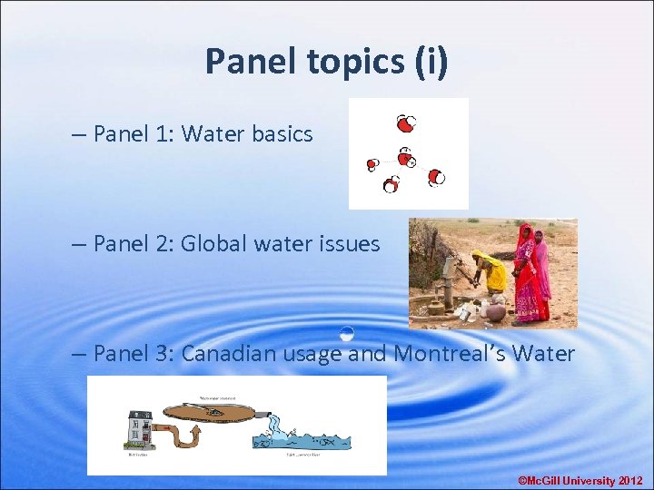 Panel topics (i) – Panel 1: Water basics – Panel 2: Global water issues