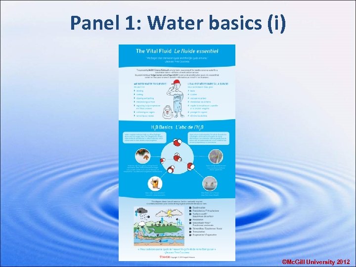 Panel 1: Water basics (i) ©Mc. Gill University 2012 