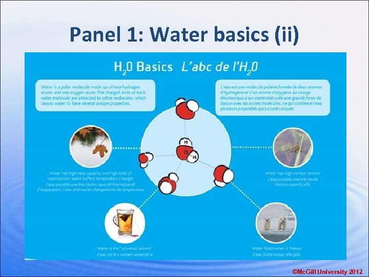 Panel 1: Water basics (ii) ©Mc. Gill University 2012 