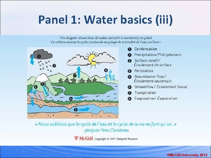 Panel 1: Water basics (iii) ©Mc. Gill University 2012 