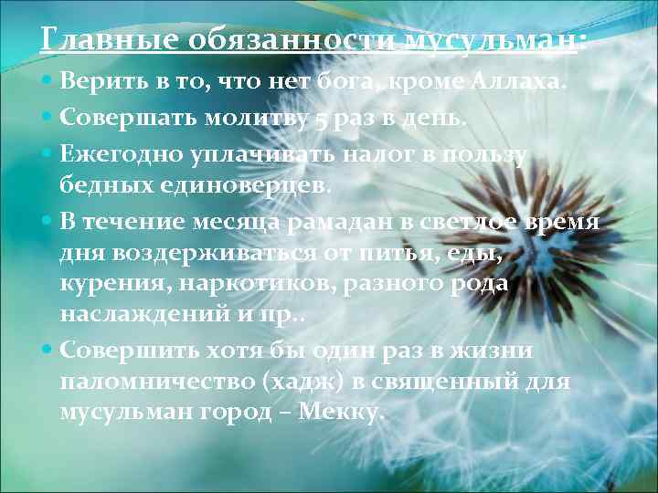 Главные обязанности мусульман: Верить в то, что нет бога, кроме Аллаха. Совершать молитву 5