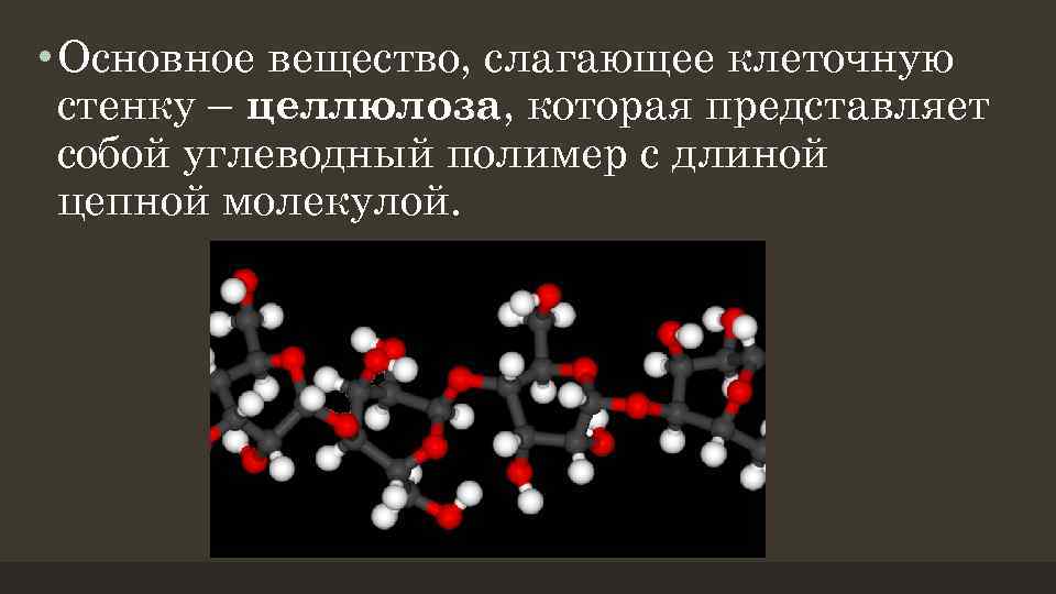 Производство важных веществ. Основное вещество. Основная химия. Плотных клеточных стенок из клетчатки. Schilddruse основное вещество.