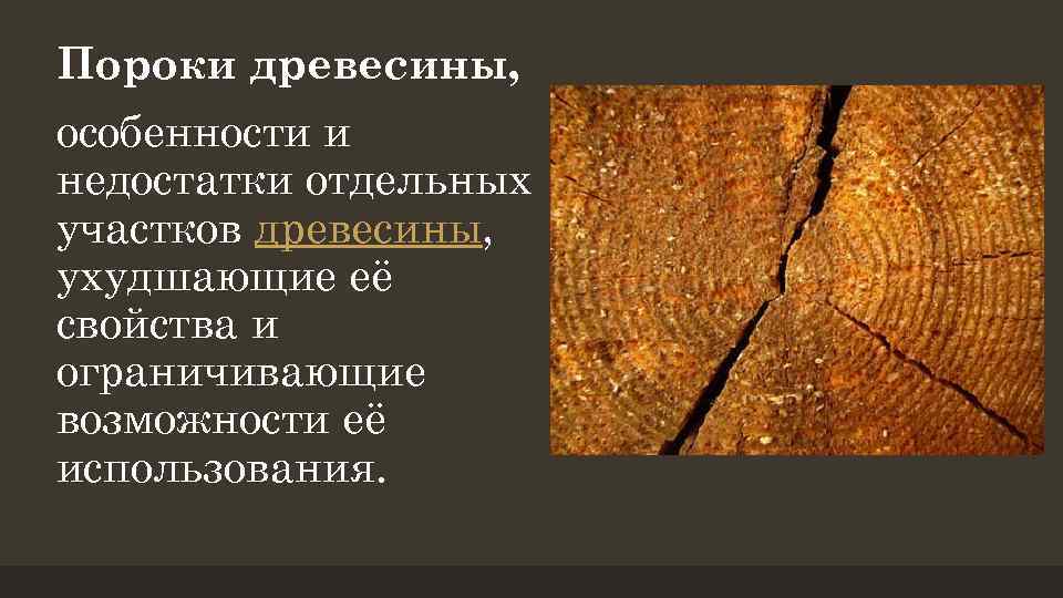 Пороки древесины, особенности и недостатки отдельных участков древесины, ухудшающие её свойства и ограничивающие возможности