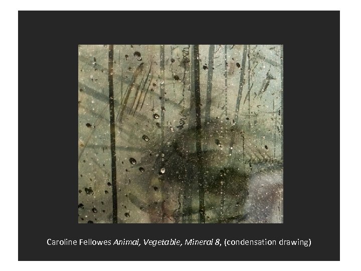 Caroline Fellowes Animal, Vegetable, Mineral 8, (condensation drawing) 