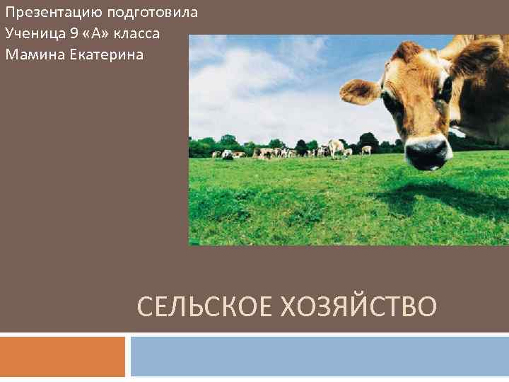 Презентацию подготовила Ученица 9 «А» класса Мамина Екатерина СЕЛЬСКОЕ ХОЗЯЙСТВО 