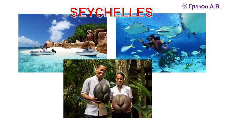 SEYCHELLES © Греков А. В. 