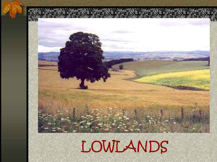 LOWLANDS 