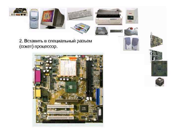 2. Вставить в специальный разъем (сокет) процессор. 