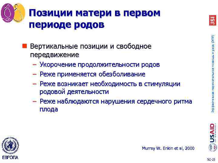 n Вертикальные позиции и свободное передвижение – Укорочение продолжительности родов – Реже применяется обезболивание