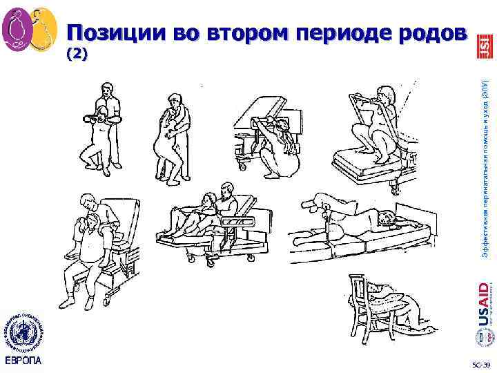 Эффективная перинатальная помощь и уход (ЭПУ) Позиции во втором периоде родов (2) 5 C-39