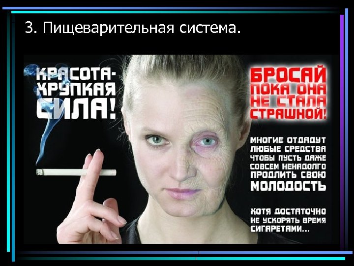 3. Пищеварительная система. 