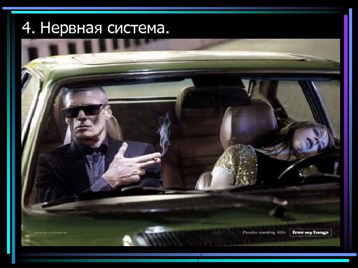 4. Нервная система. 