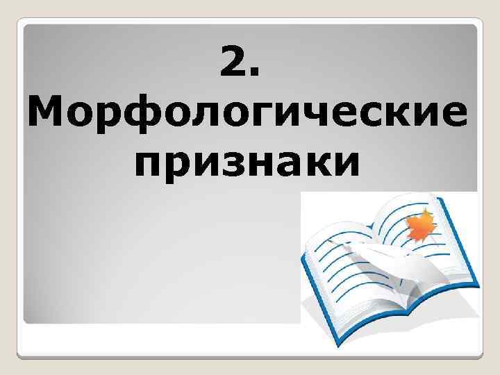 2. Морфологические признаки 