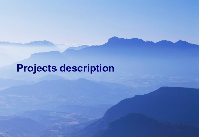 Projects description 11 