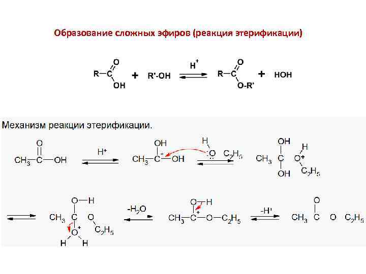 Образование сложных эфиров (реакция этерификации) 