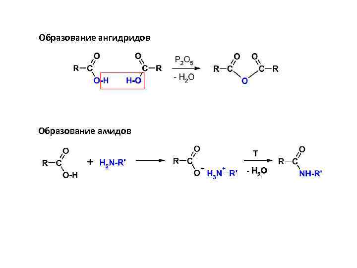 Образование ангидридов Образование амидов 