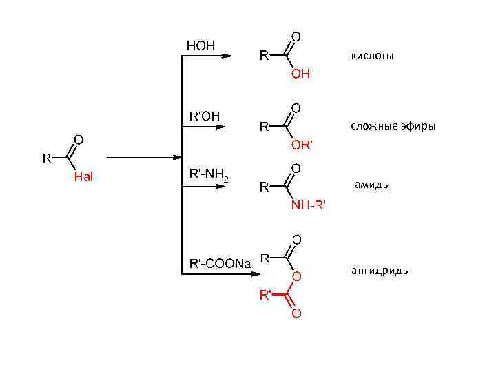 кислоты сложные эфиры амиды ангидриды 