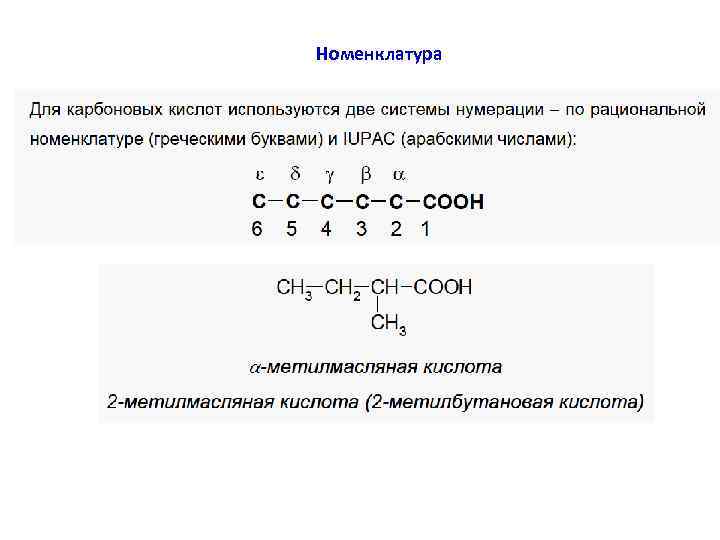 Номенклатура 