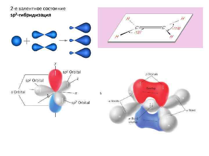2 -е валентное состояние sp 2 -гибридизация 