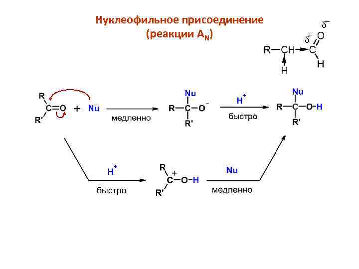 Нуклеофильное присоединение (реакции AN) _ + d d 