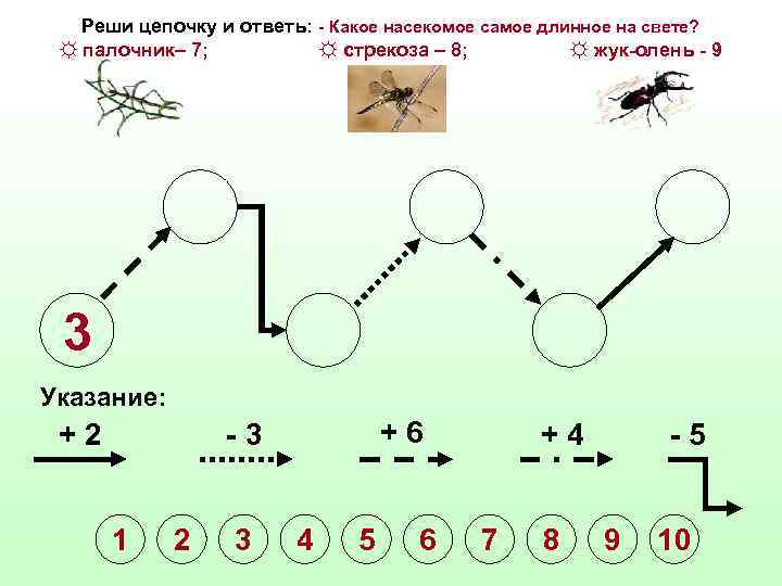 Реши цепочку и ответь: - Какое насекомое самое длинное на свете? ☼ палочник– 7;