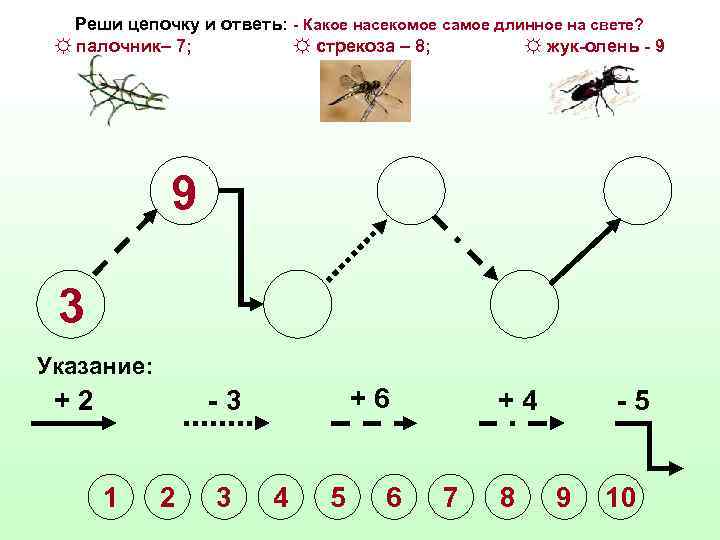 Реши цепочку и ответь: - Какое насекомое самое длинное на свете? ☼ палочник– 7;