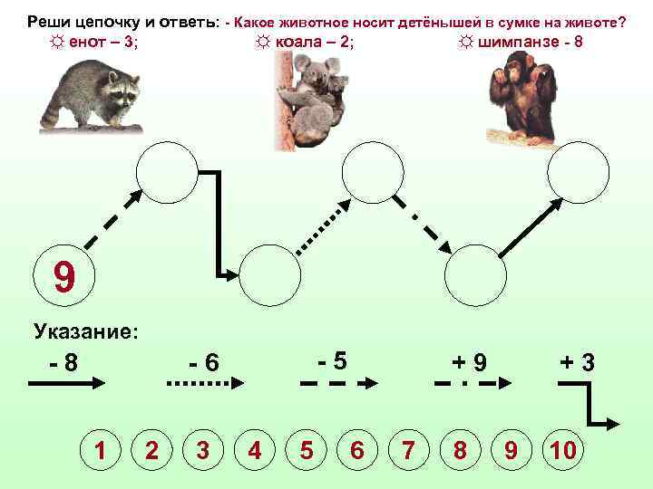 Реши цепочку и ответь: - Какое животное носит детёнышей в сумке на животе? ☼