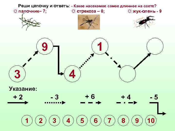 Реши цепочку и ответь: - Какое насекомое самое длинное на свете? ☼ палочник– 7;