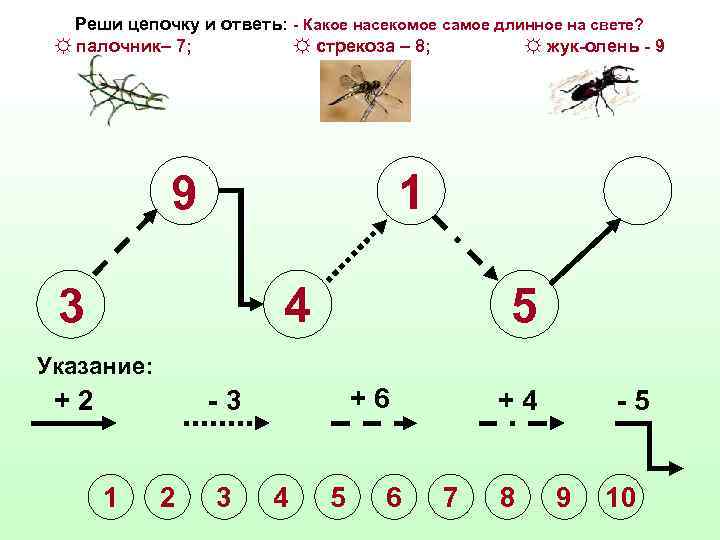 Реши цепочку и ответь: - Какое насекомое самое длинное на свете? ☼ палочник– 7;