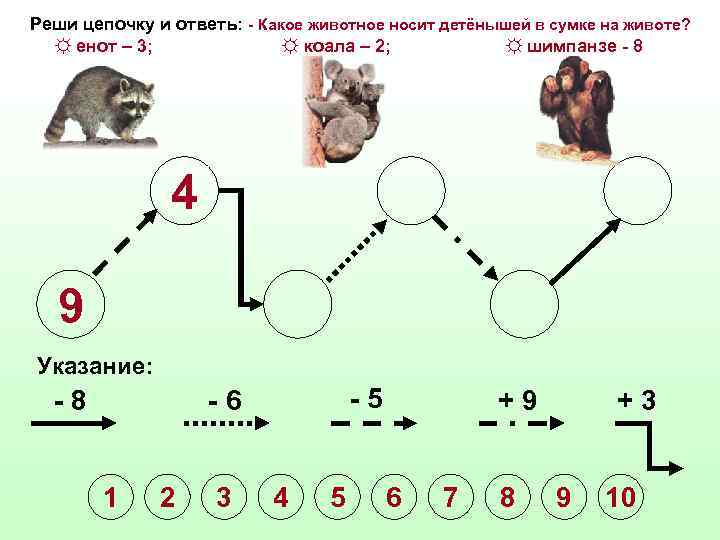 Реши цепочку и ответь: - Какое животное носит детёнышей в сумке на животе? ☼