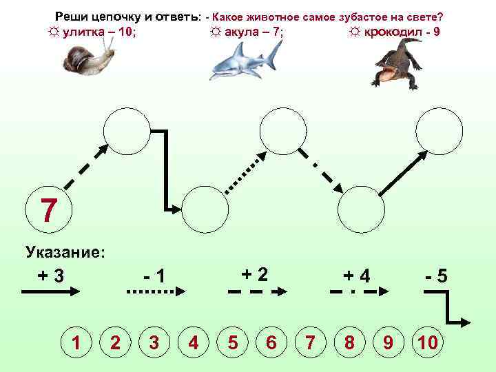 Реши цепочку и ответь: - Какое животное самое зубастое на свете? ☼ улитка –