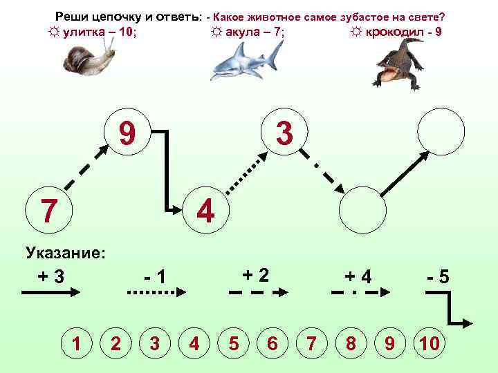 Реши цепочку и ответь: - Какое животное самое зубастое на свете? ☼ улитка –