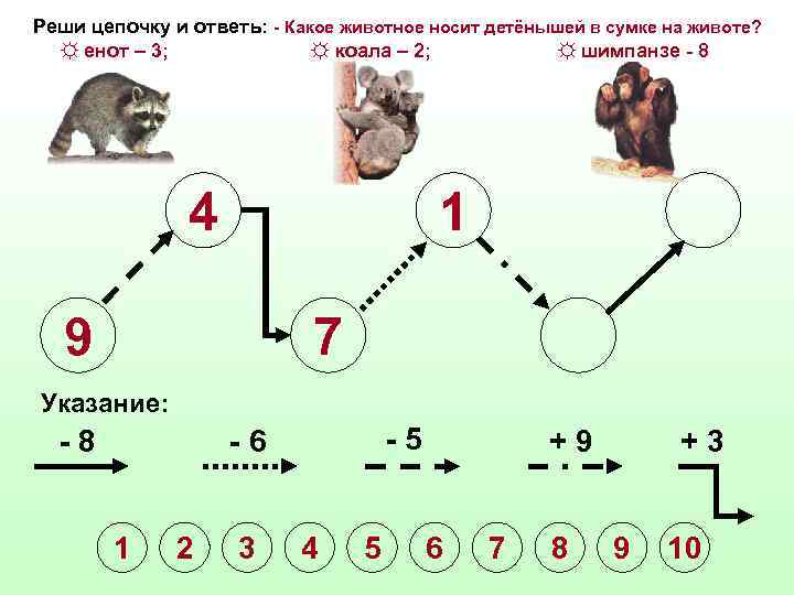 Реши цепочку и ответь: - Какое животное носит детёнышей в сумке на животе? ☼