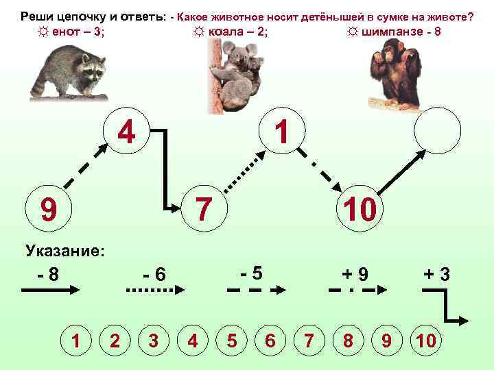 Реши цепочку и ответь: - Какое животное носит детёнышей в сумке на животе? ☼