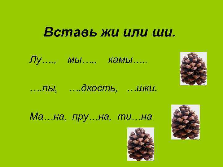Вставь жи или ши. Лу…. , мы…. , камы…. . …. пы, …. дкость,