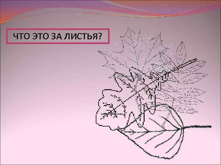 ЧТО ЭТО ЗА ЛИСТЬЯ? 