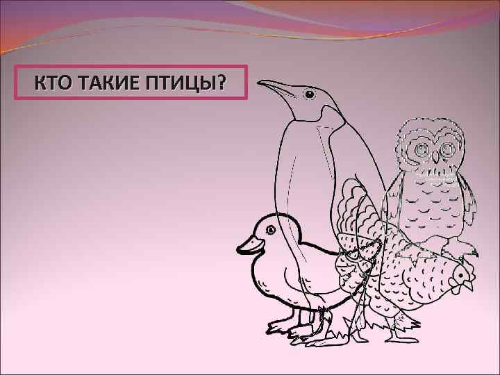 КТО ТАКИЕ ПТИЦЫ? 