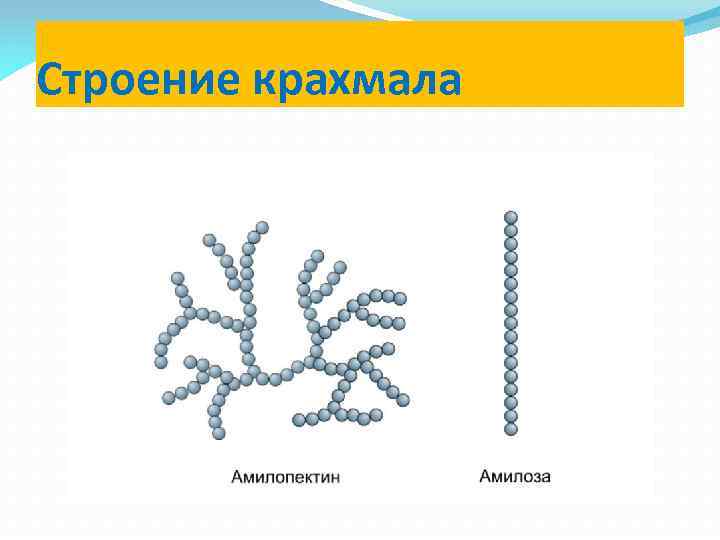 Крахмал строение. Строение макромолекулы крахмала. Форма молекул крахмала и целлюлозы. Структура молекулы крахмала и целлюлозы. Структура макромолекул крахмала.