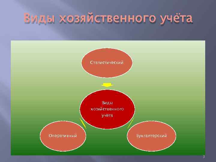 Виды хозяйственного учёта Статистический Виды хозяйственного учета Оперативный Бухгалтерский 3 