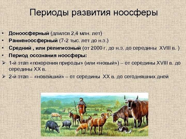 Периоды развития ноосферы • • Ø Доноосферный (длился 2, 4 млн. лет) Ранненоосферный (7