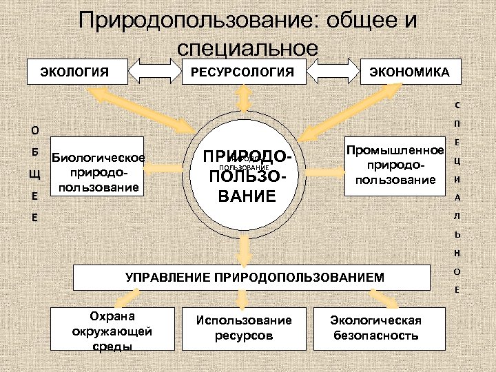 Природопользование: общее и специальное ЭКОЛОГИЯ РЕСУРСОЛОГИЯ ЭКОНОМИКА С П О Б Биологическое природо. Щ